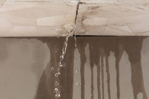 Professional Burst Pipe Cleanup technician working in Trenton, NJ